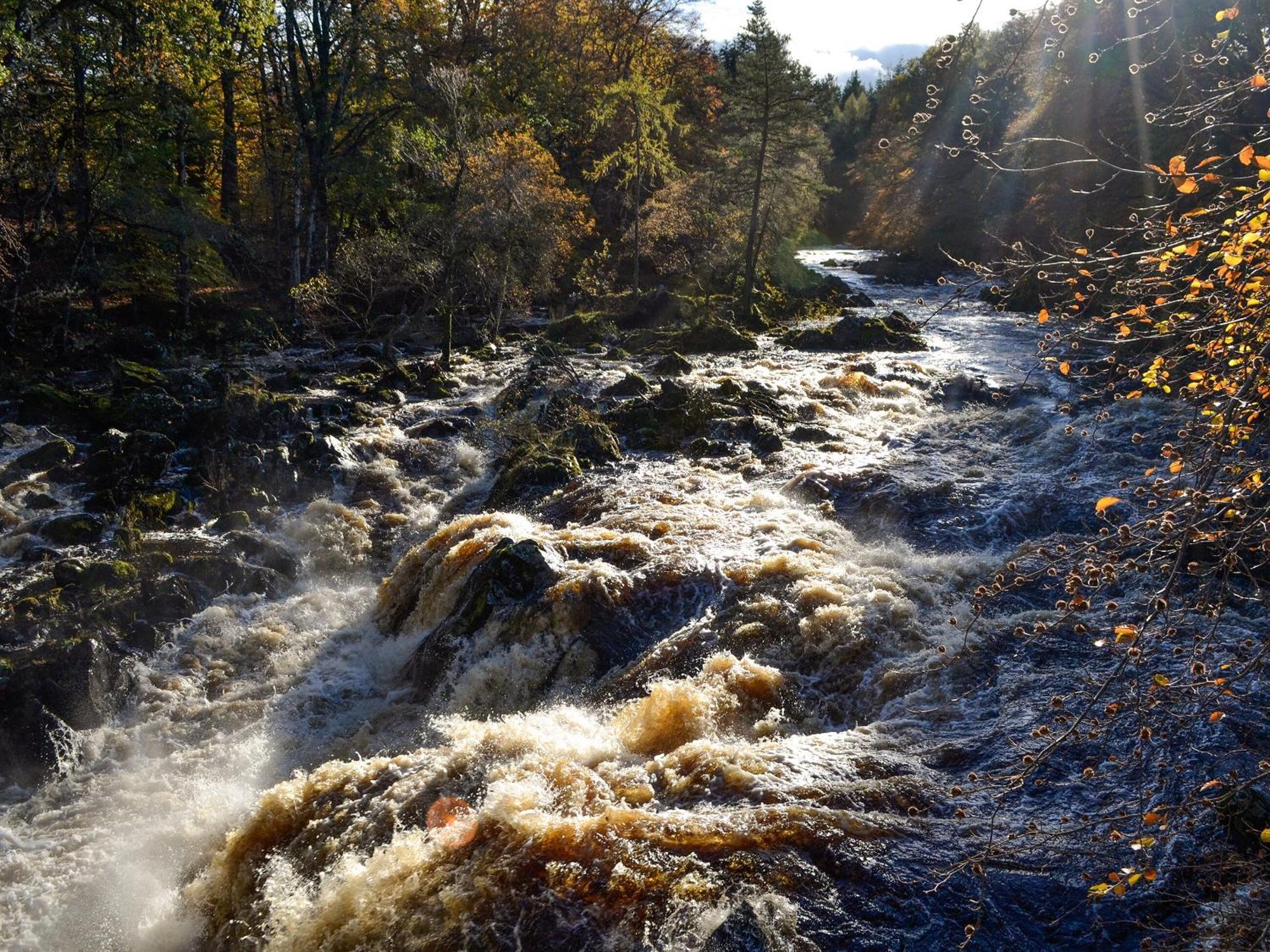Toll Bridge Lodge Banchory Kültér fotó
